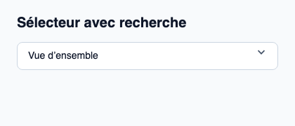 Recherche d’options avec choix stable et état de recherche explicite.