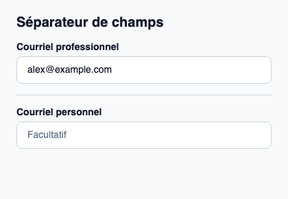Trait discret séparant des groupes dans un formulaire.