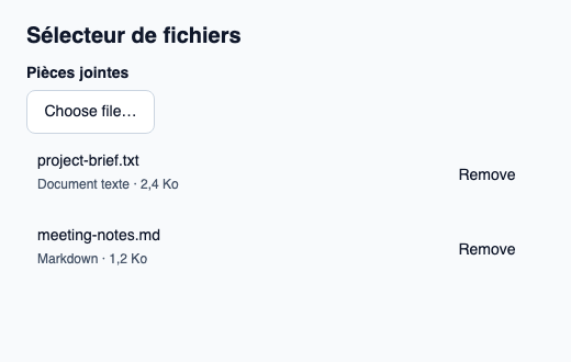 Sélecteur de fichiers présentant une demande native et les fichiers retenus.