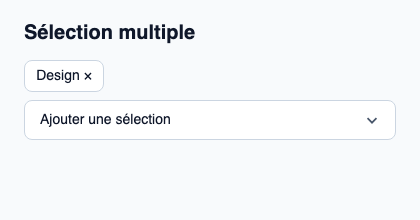 Sélecteur multiple combinant une recherche et les choix retenus en puces.