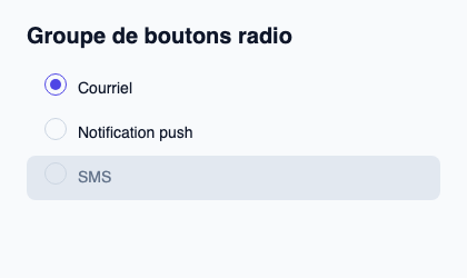 Groupe de choix exclusifs avec une cible clavier commune.