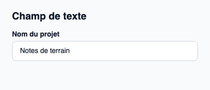 Champ de texte natif avec libellé, validation et messages d’aide.